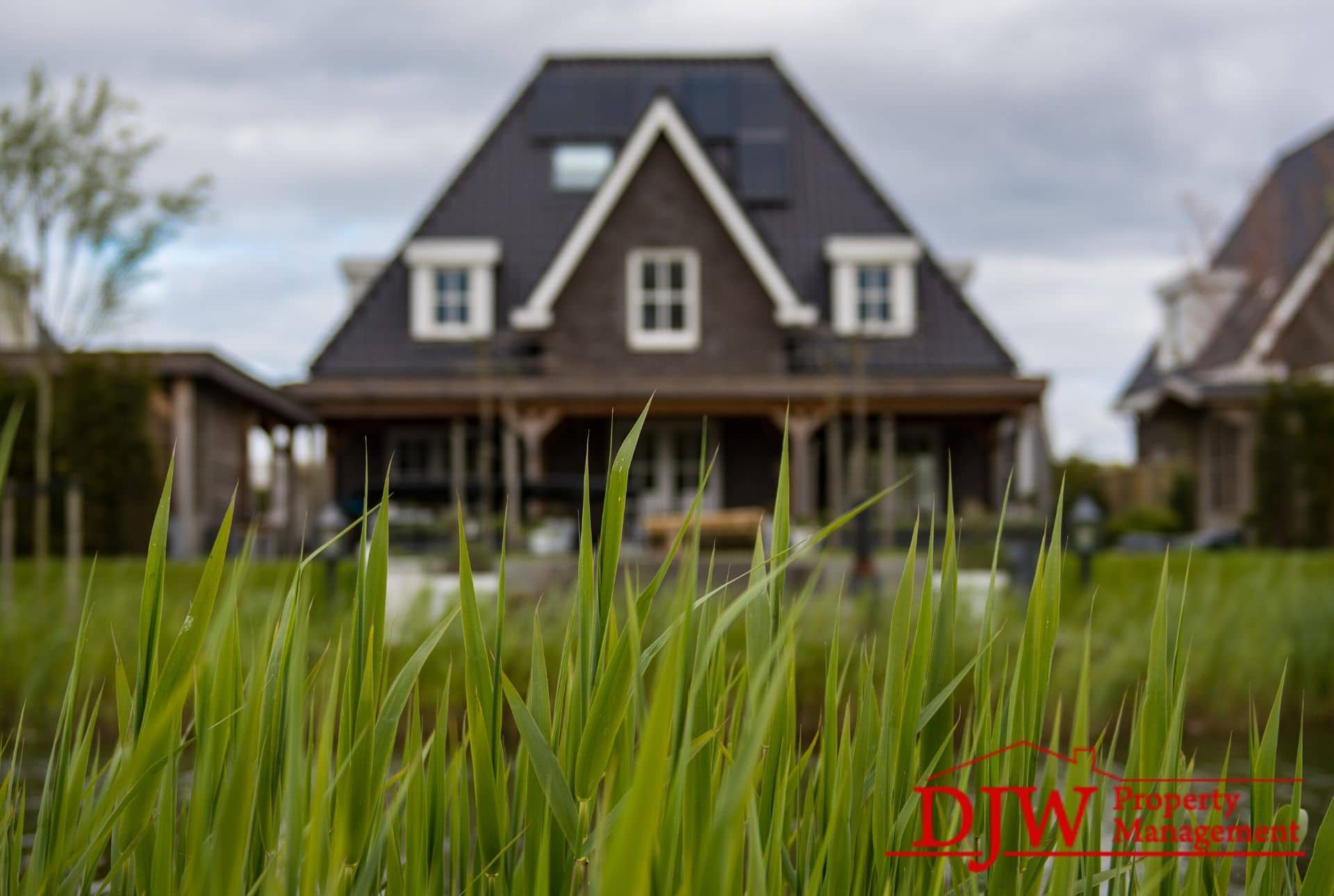 Focus on grass, with a home in the background.