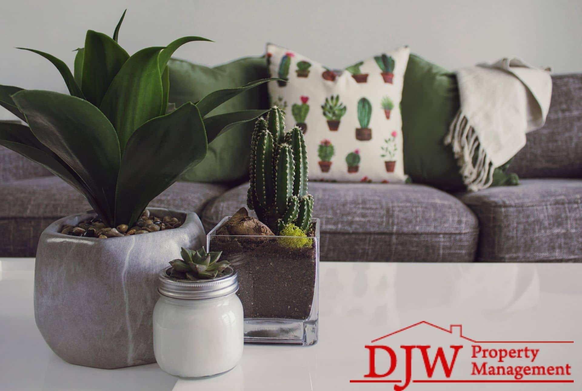 Succulents sit on a white coffee table; a grey couch is visible in the background with throw pillows and a cozy blanket.